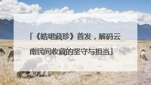 《皓珺藏珍》首发，解码云南民间收藏的坚守与担当