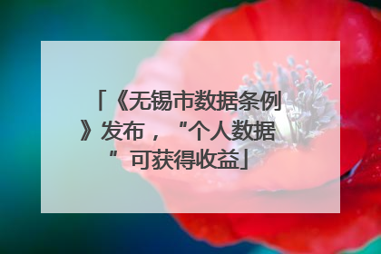 《无锡市数据条例》发布，“个人数据”可获得收益