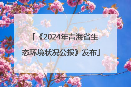 《2024年青海省生态环境状况公报》发布