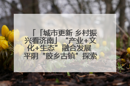 「城市更新 乡村振兴看济南」“产业+文化+生态”融合发展 平阴“胶乡古镇”探索振兴路径成效显著