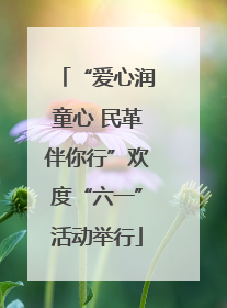 “爱心润童心 民革伴你行”欢度“六一”活动举行