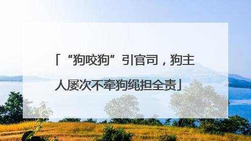 “狗咬狗”引官司，狗主人屡次不牵狗绳担全责