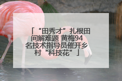 “田秀才”扎根田间解难题 黄梅94名技术指导员催开乡村“科技花”