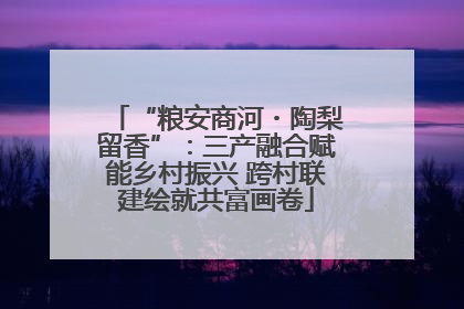 “粮安商河・陶梨留香”：三产融合赋能乡村振兴 跨村联建绘就共富画卷