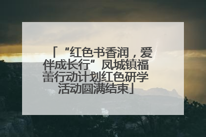 “红色书香润，爱伴成长行”凤城镇福蕾行动计划红色研学活动圆满结束