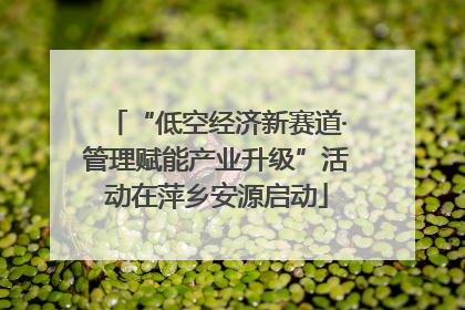 “低空经济新赛道·管理赋能产业升级”活动在萍乡安源启动