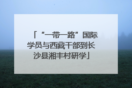 “一带一路”国际学员与西藏干部到长沙县湘丰村研学