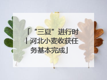 “三夏”进行时丨河北小麦收获任务基本完成