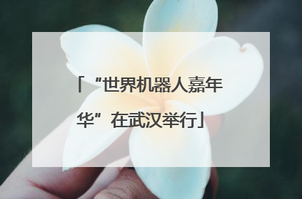“世界机器人嘉年华”在武汉举行