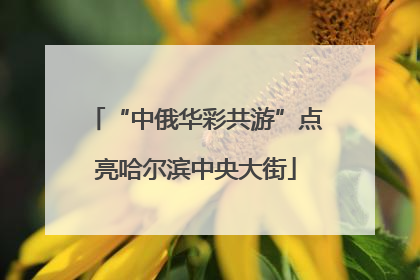“中俄华彩共游”点亮哈尔滨中央大街