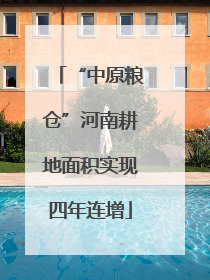 “中原粮仓”河南耕地面积实现四年连增