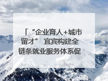 “企业育人+城市留才” 宜宾构建全链条就业服务体系促高校毕业生就业｜您牵挂的四川