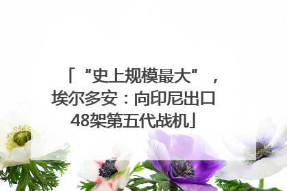 “史上规模最大”，埃尔多安：向印尼出口48架第五代战机