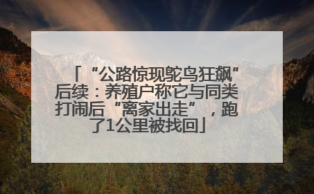 “公路惊现鸵鸟狂飙”后续：养殖户称它与同类打闹后“离家出走”，跑了1公里被找回