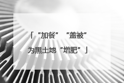 “加餐”“盖被” 为黑土地“增肥”