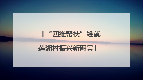 “四维帮扶”绘就莲湖村振兴新图景