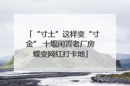 “寸土”这样变“寸金” 十堰闲置老厂房蝶变网红打卡地