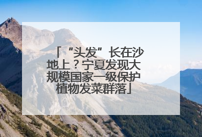 “头发”长在沙地上？宁夏发现大规模国家一级保护植物发菜群落