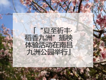 “夏至祈丰·稻香九洲”插秧体验活动在南昌九洲公园举行