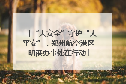 “大安全”守护“大平安”，郑州航空港区明港办事处在行动