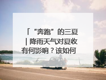“奔跑”的三夏｜降雨天气对夏收有何影响？该如何防范？一文了解