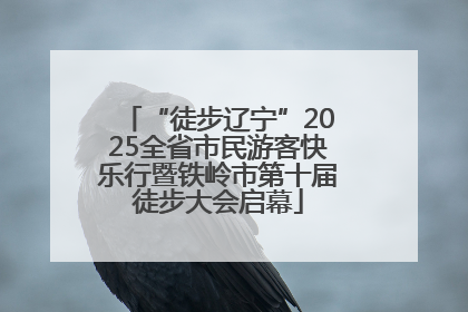 “徒步辽宁”2025全省市民游客快乐行暨铁岭市第十届徒步大会启幕