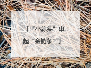 “小蒜头”串起“金链条”