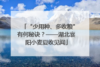 “少用种、多收粮”有何秘诀？——湖北襄阳小麦夏收见闻