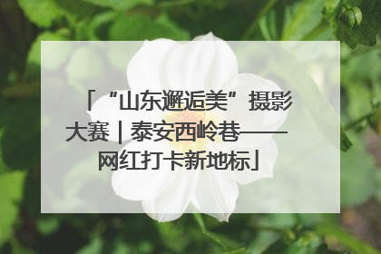 “山东邂逅美”摄影大赛｜泰安西岭巷——网红打卡新地标
