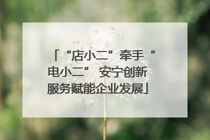 “店小二”牵手“电小二” 安宁创新服务赋能企业发展