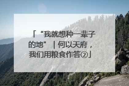 “我就想种一辈子的地”｜何以天府，我们用粮食作答②