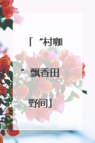“村咖”飘香田野间