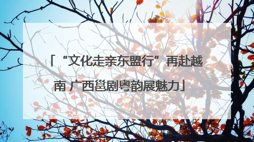 “文化走亲东盟行”再赴越南 广西邕剧粤韵展魅力