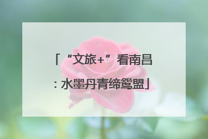 “文旅+”看南昌：水墨丹青缔鸳盟