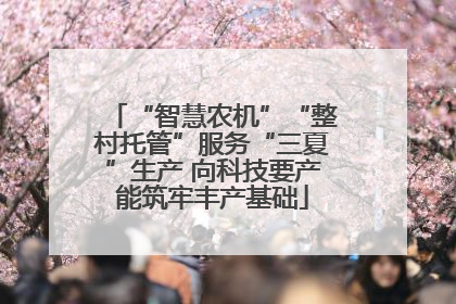 “智慧农机”“整村托管”服务“三夏”生产 向科技要产能筑牢丰产基础