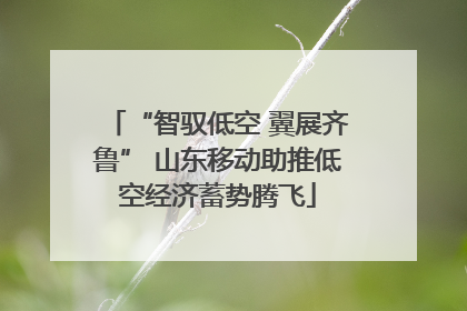 “智驭低空 翼展齐鲁” 山东移动助推低空经济蓄势腾飞