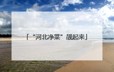 “河北净菜”靓起来