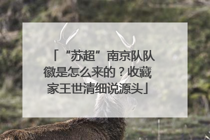 “苏超”南京队队徽是怎么来的？收藏家王世清细说源头