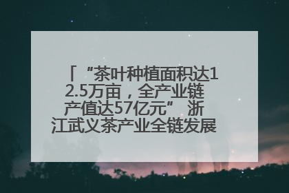 “茶叶种植面积达12.5万亩，全产业链产值达57亿元” 浙江武义茶产业全链发展“加速度”