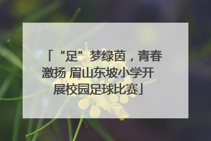 “足”梦绿茵，青春激扬 眉山东坡小学开展校园足球比赛
