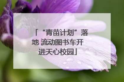 “青苗计划”落地 流动图书车开进天心校园