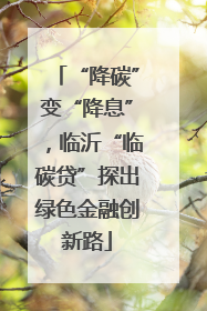 “降碳”变“降息”，临沂“临碳贷”探出绿色金融创新路