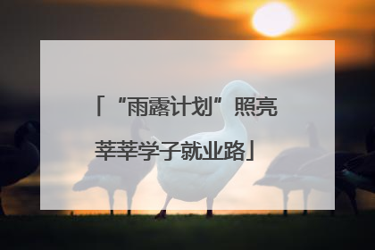 “雨露计划”照亮莘莘学子就业路