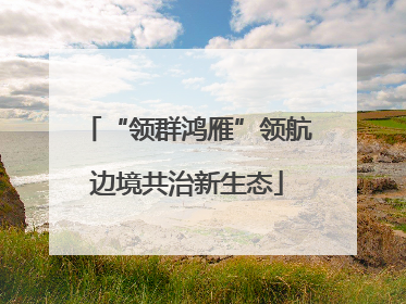 “领群鸿雁”领航边境共治新生态