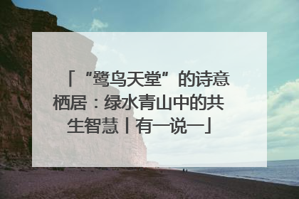 “鹭鸟天堂”的诗意栖居：绿水青山中的共生智慧丨有一说一