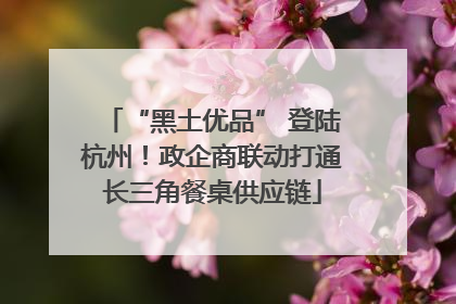 “黑土优品” 登陆杭州！政企商联动打通长三角餐桌供应链