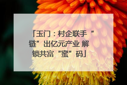 玉门：村企联手“链”出亿元产业 解锁共富“蜜”码