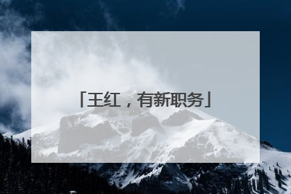王红，有新职务