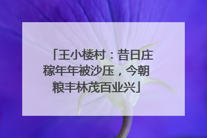 王小楼村：昔日庄稼年年被沙压，今朝粮丰林茂百业兴