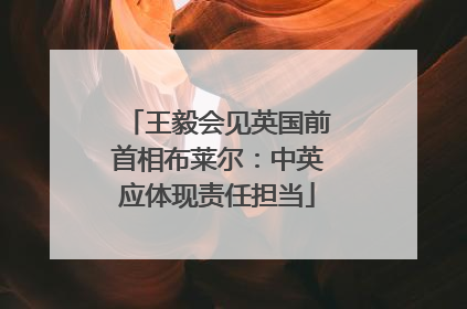 王毅会见英国前首相布莱尔：中英应体现责任担当